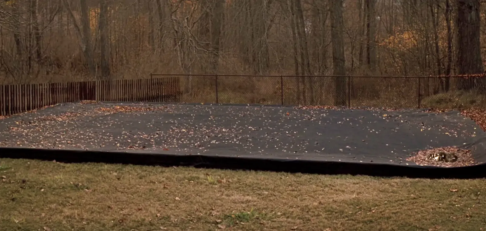 A backyard swimming pool under a taut black mesh safety cover in late autumn, with fallen leaves scattered across it, bare trees and a wooden fence behind.