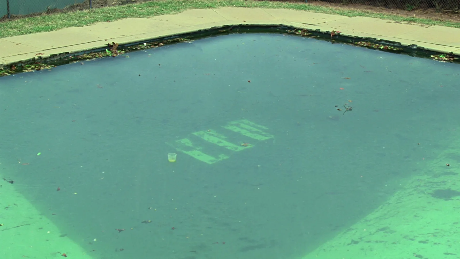 A neglected backyard swimming pool full of opaque green water in early spring, with branches floating on the surface, a plain concrete deck and a chain link fence behind.