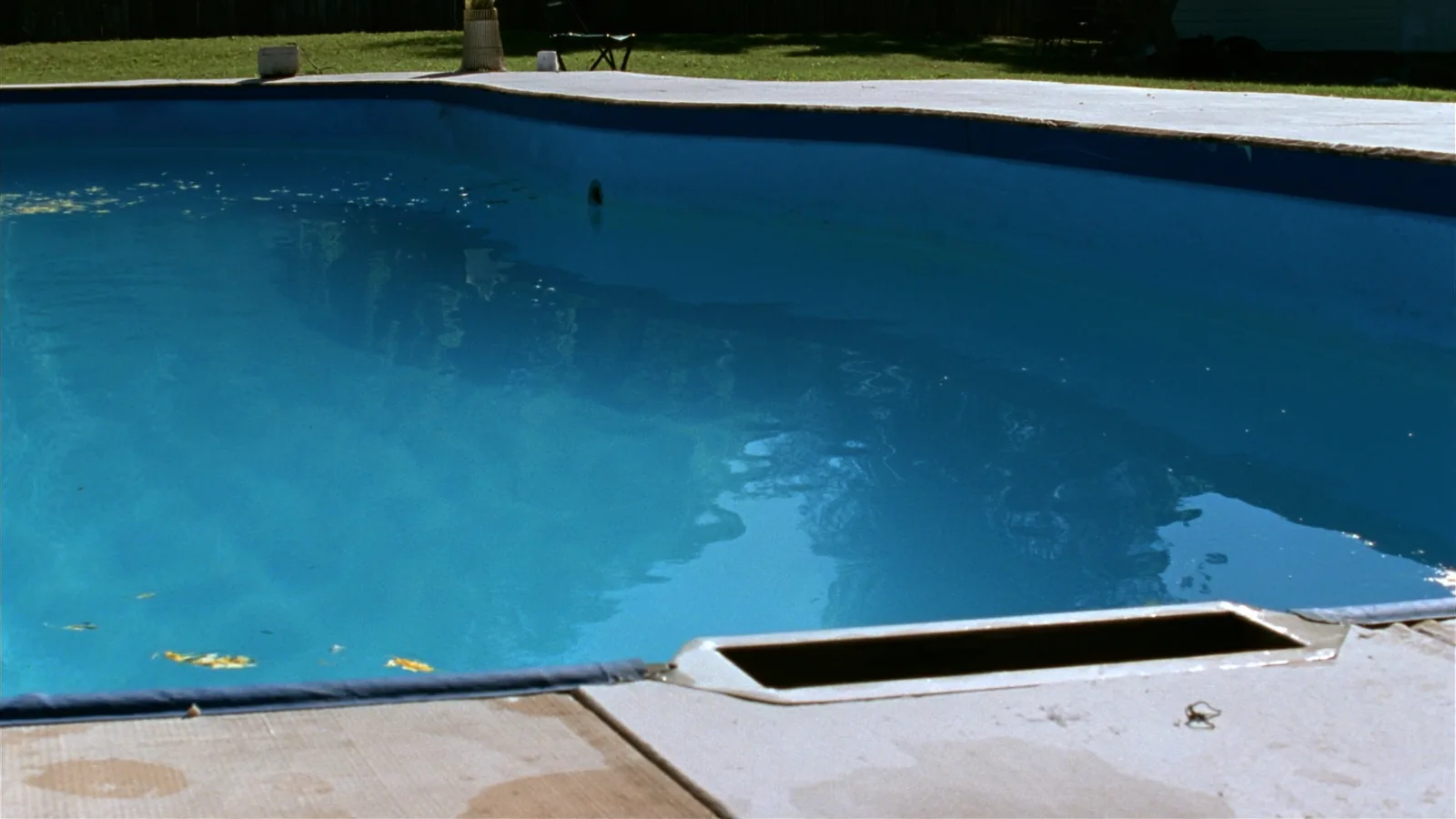 A backyard swimming pool full of still pale blue water at dusk, seen across a plain concrete deck, with a few leaves floating near the edge and grass beyond the far coping.